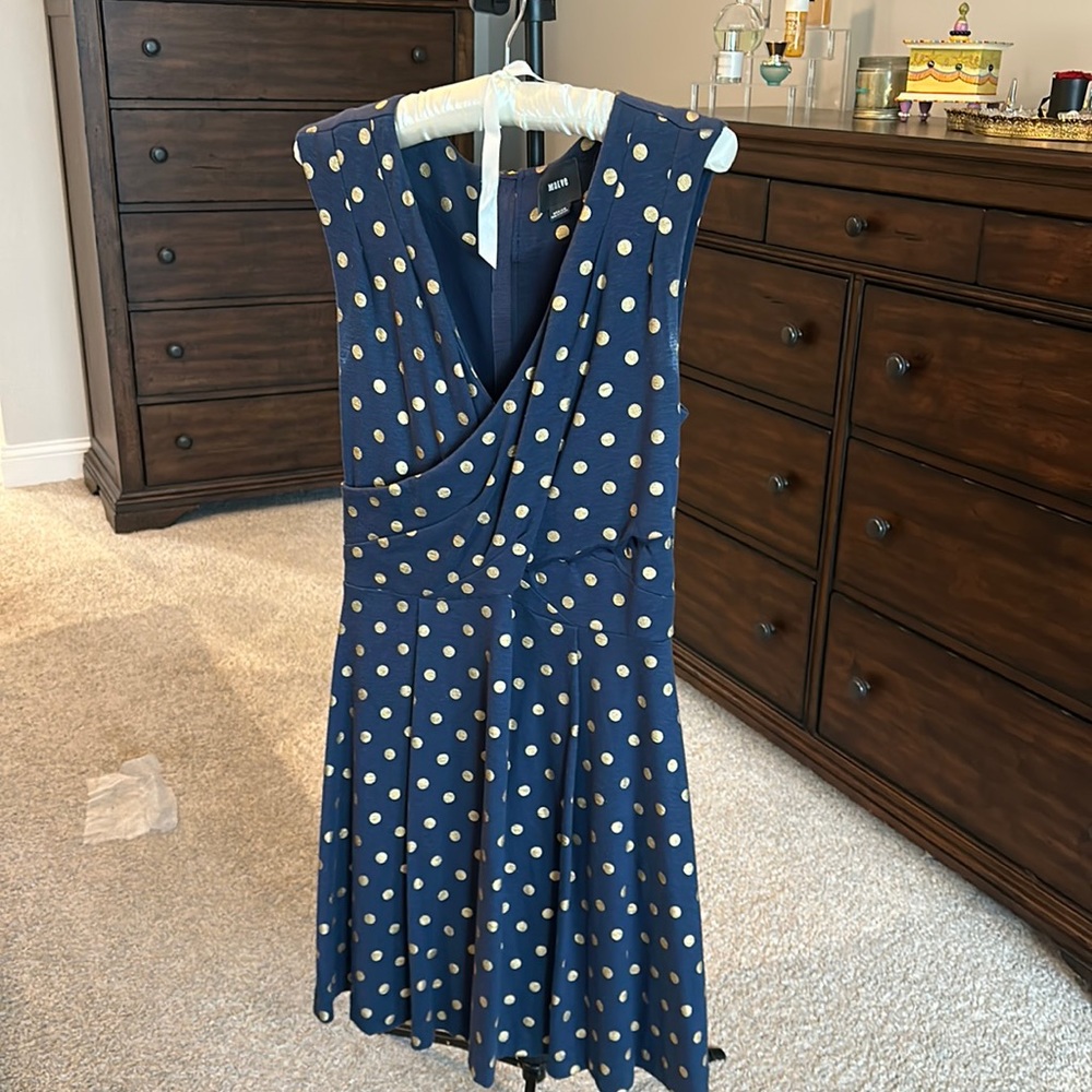 Polka Dot Dress